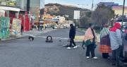 Pérdidas por bloqueos superan $us 2.100 millones, reportan industriales que alistan un plan de emergencia