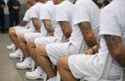 El Salvador: Sentencian a 254 miembros de la MS-13