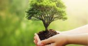 “Hay que reflexionar sobre el lugar donde vivimos”: Este 5 de junio se conmemora el Día Mundial del Medio Ambiente