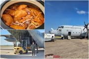 Llegan a La Paz 11 toneladas de pollo mediante puente aéreo en avión argentino
