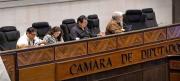Ley de Estados Excepción se hace esperar, la Comisión de Constitución de Diputados la aprobó
