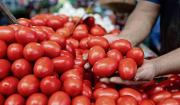 Mientras escasea en otras regiones, el tomate se vende a Bs 3 el kilo en Santa Cruz