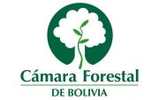 Forestales rechazan vinculación del sector con hechos ilícitos