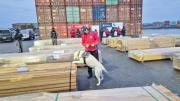 No sólo por Chile, informe advierte que droga boliviana también sale por Brasil en cargamentos de madera y granos