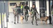 Policías y canes antidrogas inspeccionan Viru Viru tras denuncia de presunto cargamento con droga