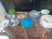 Poca comida y menos rescatados: así sobrevive el albergue “Adopta amor” a la crisis