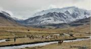 La cordillera Apolobamba perdió el 62 % de su superficie glaciar y enciende alertas sobre la seguridad hídrica