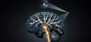 Las cinco leyes de las personas imperturbables