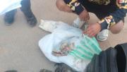 Aprehenden a dos personas con grandes sumas de dinero sin justificar en la ruta Cochabamba–Oruro