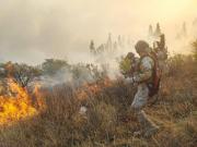 Tarija se adelanta al fuego tras perder 11 mil hectáreas el 2025