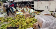 Bananeros exigen a cocaleros resarcir pérdidas por bloqueos; la afectación a la cadena productiva es de $us 10 millones