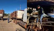 Operativos fronterizos entre Bolivia y Brasil refuerzan controles contra el narcotráfico