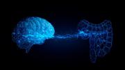 Microbiota y salud mental: el eje invisible entre el intestino y el cerebro que define nuestro bienestar