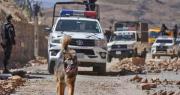 Comando de Quillacollo adopta a Rex, “el perrito desbloqueador” que “se unió” al despeje de la ruta a Oruro