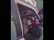 Rex, el perrito desbloqueador será un agente del policial del Valle Bajo de Cochabamba