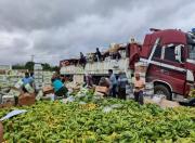 Bananeros reportan $us 8 millones en pérdidas y más de 20 mil familias del sector en crisis