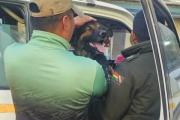 Rex se incorpora a filas policiales, recibirá una distinción en el Bicentenario de la Policía