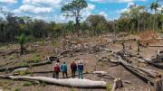 Amazonía Traficada: nace VISTA, la herramienta que revela el asedio y la deforestación en tierras indígenas de Bolivia