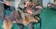 Rex, “el perrito desbloqueador” será ascendido y recibe entrenamiento de la Policía