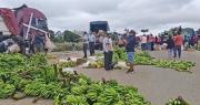 “Ya no damos confianza”: Argentina sustituye banana boliviana por fruta de Ecuador y Paraguay, lamenta productor
