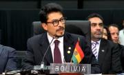 Bolivia denuncia ante la OEA el conflicto de más de 50 días y confirma la visita de cancilleres