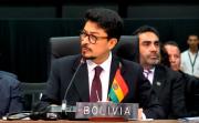 Gobierno defiende ante la OEA que actuó con prudencia ante la crisis y que la fuerza es el “último recurso”
