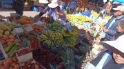 Los huertos urbanos surgen como alternativa sostenible