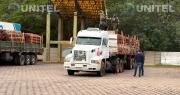 Intensifican controles a los cargamentos de madera en la frontera con Brasil