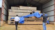 Muestras de madera son analizadas en tres países