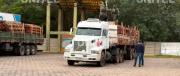 Intensifican controles a los cargamentos de madera
