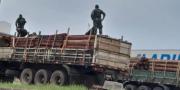 Retienen dos camiones con madera en la frontera con Brasil