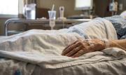 Fallece mujer de 78 años atacada por dos perros y el dueño es procesado
