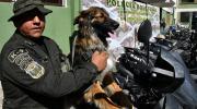 La Policía adopta a Rex, el perro callejero que acompañó un desbloqueo en Parotani