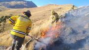 Gobernación declara alerta amarilla por incendios; ya hubo 18 en lo que va del año