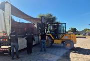 FELCN, Aduana y DEA ejecutan operativo internacional y secuestran cargamentos de madera en fronteras