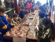 Unos 100 ajedrecistas participarán este domingo en el Intercolegial Casa Argentina