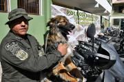 La Policía adopta a Rex, el perro callejero que acompañó un desbloqueo de rutas