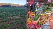 Heladas golpean a los Valles cruceños y amenazan la producción de alimentos