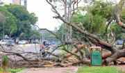 ¿Desde y hasta cuándo rige la alerta naranja por fuertes vientos en Santa Cruz?