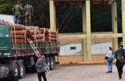 Fiscalía analiza nueve camiones con madera retenidos en Puerto Quijarro tras alerta internacional