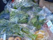 La Paz necesita impulsar huertos urbanos para fortalecer la seguridad alimentaria y reducir su dependencia del abastecimiento externo