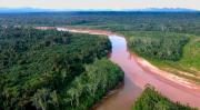 Exdirector del INRA advierte que un decreto amenaza con revertir reservas y concesiones forestales en la Amazonía