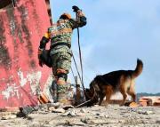 En las horas críticas del rescate surgen milagros de personas y mascotas sobrevivientes