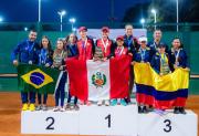 Sudamérica encontró a sus campeones