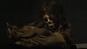Investigación sobre momias del Museo Nacional de Arqueología de Bolivia llegan a National Geographic