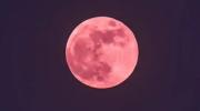 Luna de Fresa en Bolivia: cuándo y a qué hora mirar al cielo
