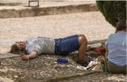 OMS alerta de más de 1.300 muertes por calor extremo