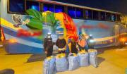 Tres operativos de la Felcn en Santa Cruz afectan en $us 175 mil al narcotráfico y aprehenden a seis personas