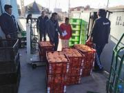 Avicultores de Santa Cruz denuncian que falta de combustible afecta el envío de 250 mil pollos