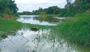 Impulsan descontaminación de la ‘Lagunota’ de Cotoca